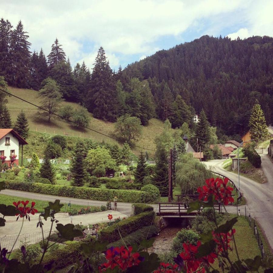 Waldblick Landhaus B&B Schwarzenbach an der Pielach Exterior photo