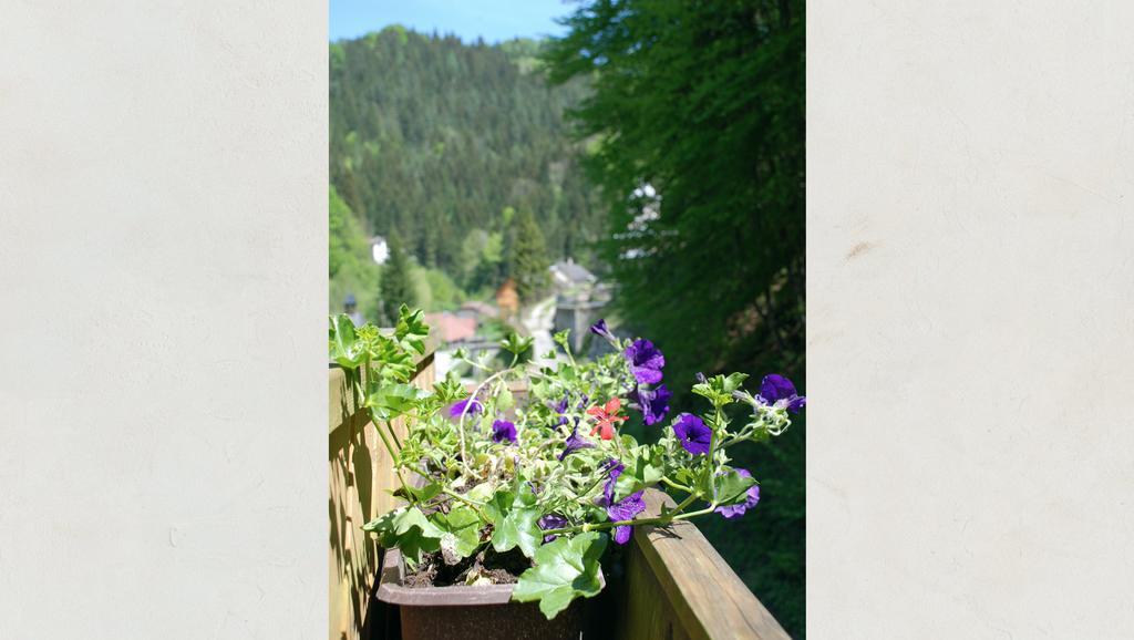 Waldblick Landhaus B&B Schwarzenbach an der Pielach Exterior photo